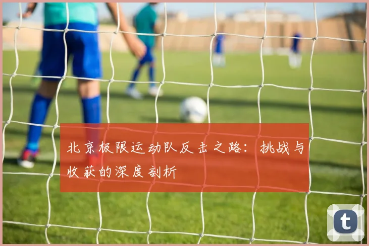 北京极限运动队反击之路：挑战与收获的深度剖析
