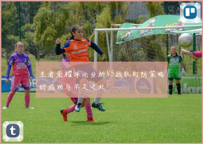 王者荣耀评论分析V5战队盯防策略的成功与不足之处